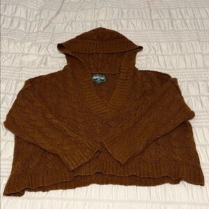 American Eagle Outfitters Brown V-Neck Sweater